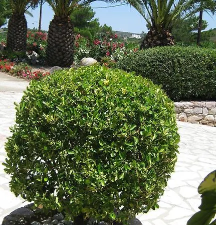 Cerigo House Kondoliánika